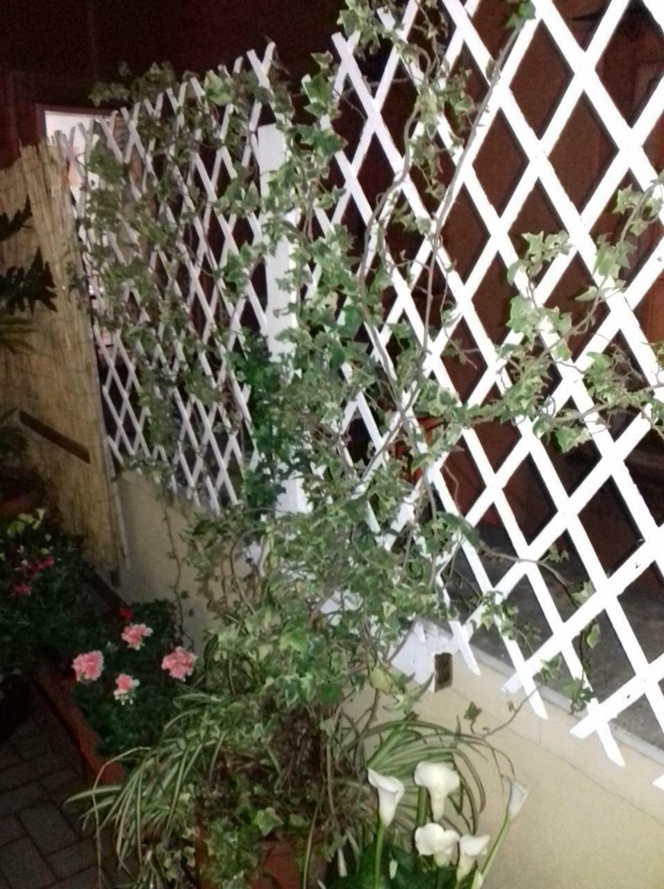 La Terrazza Di Dante Bed & Breakfast Napoli Bagian luar foto
